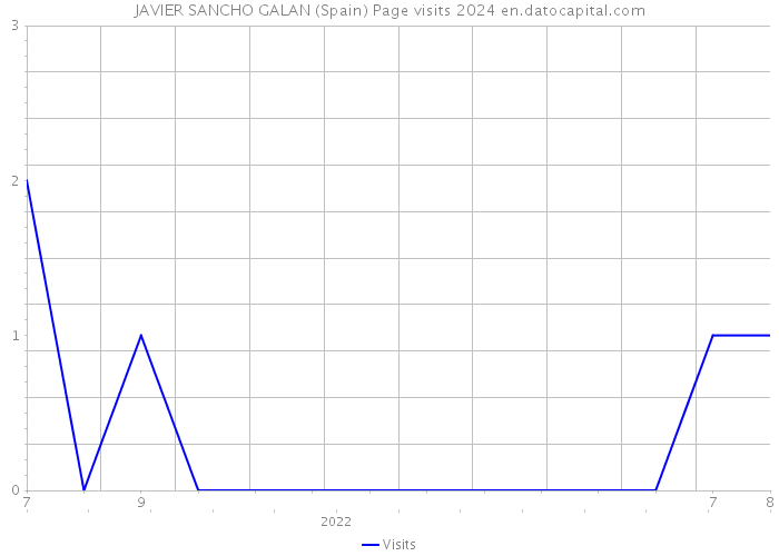 JAVIER SANCHO GALAN (Spain) Page visits 2024 