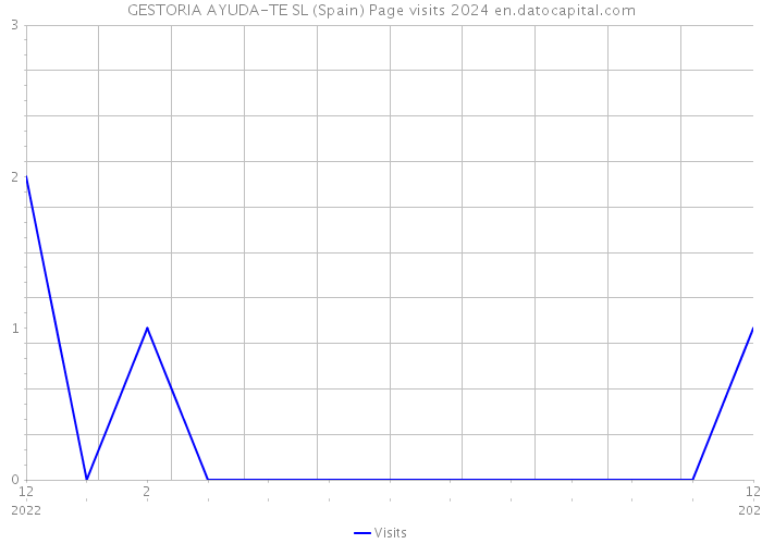 GESTORIA AYUDA-TE SL (Spain) Page visits 2024 