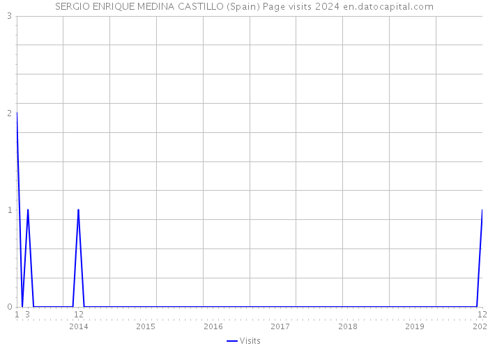 SERGIO ENRIQUE MEDINA CASTILLO (Spain) Page visits 2024 