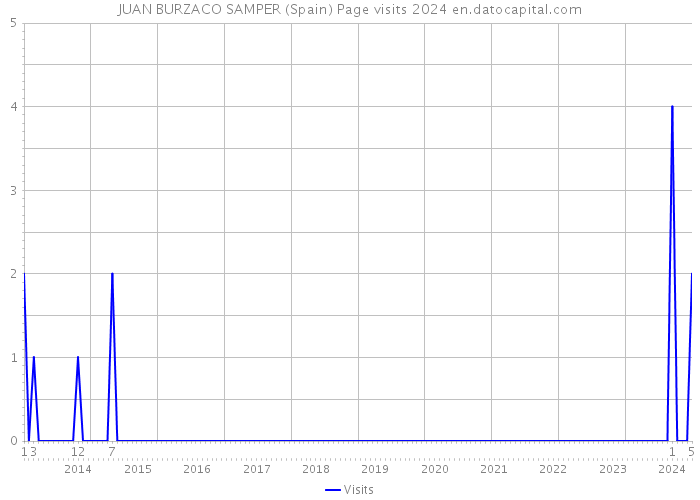 JUAN BURZACO SAMPER (Spain) Page visits 2024 
