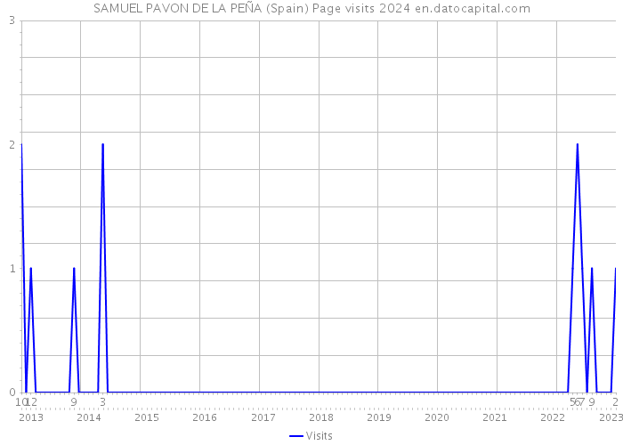 SAMUEL PAVON DE LA PEÑA (Spain) Page visits 2024 