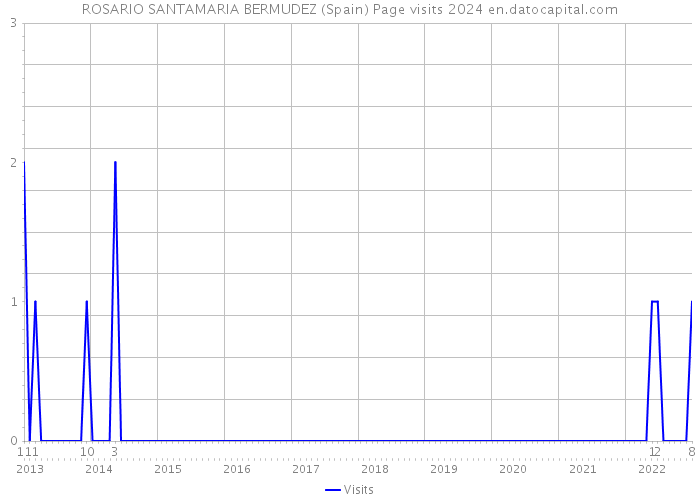 ROSARIO SANTAMARIA BERMUDEZ (Spain) Page visits 2024 