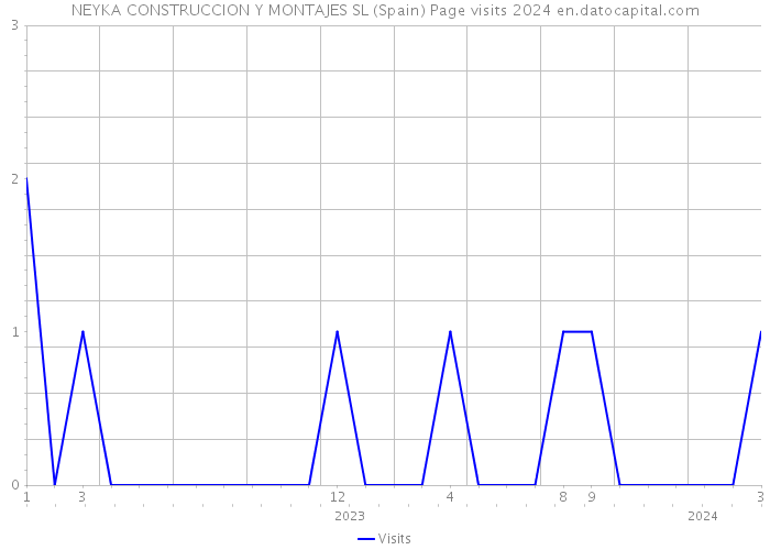 NEYKA CONSTRUCCION Y MONTAJES SL (Spain) Page visits 2024 