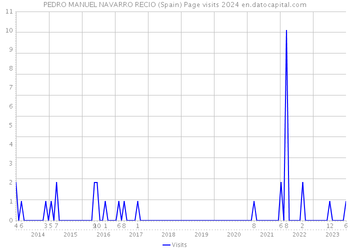 PEDRO MANUEL NAVARRO RECIO (Spain) Page visits 2024 