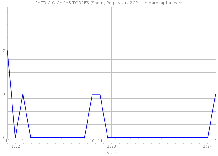 PATRICIO CASAS TORRES (Spain) Page visits 2024 