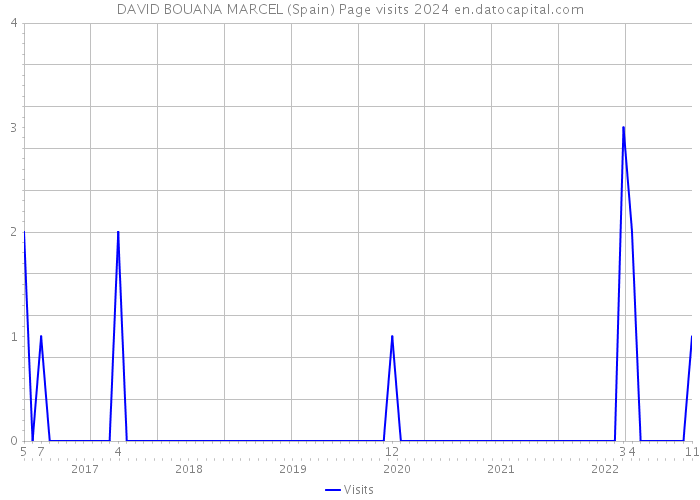 DAVID BOUANA MARCEL (Spain) Page visits 2024 