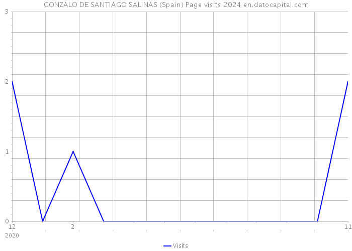 GONZALO DE SANTIAGO SALINAS (Spain) Page visits 2024 