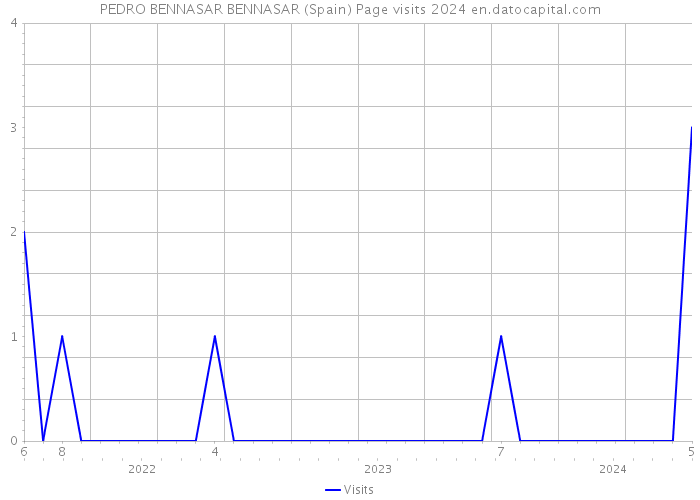 PEDRO BENNASAR BENNASAR (Spain) Page visits 2024 