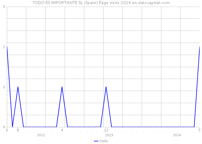 TODO ES IMPORTANTE SL (Spain) Page visits 2024 