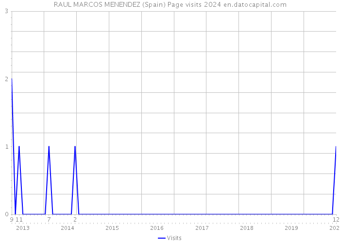 RAUL MARCOS MENENDEZ (Spain) Page visits 2024 