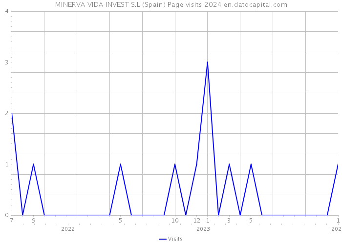 MINERVA VIDA INVEST S.L (Spain) Page visits 2024 