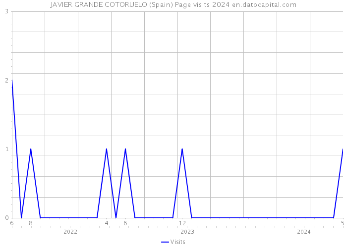 JAVIER GRANDE COTORUELO (Spain) Page visits 2024 