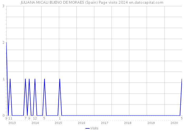 JULIANA MICALI BUENO DE MORAES (Spain) Page visits 2024 