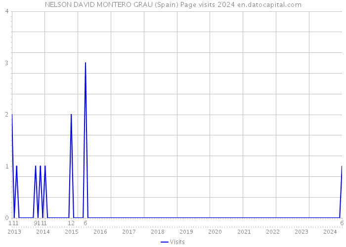 NELSON DAVID MONTERO GRAU (Spain) Page visits 2024 