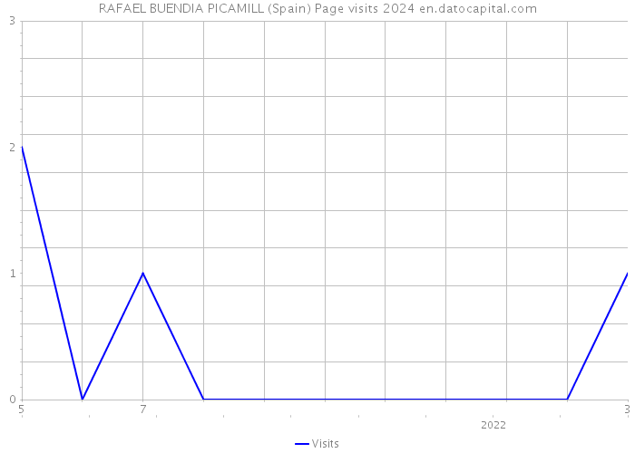 RAFAEL BUENDIA PICAMILL (Spain) Page visits 2024 