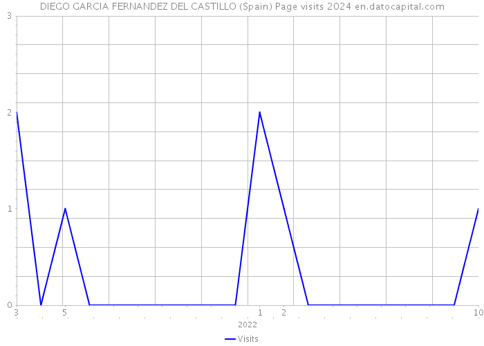 DIEGO GARCIA FERNANDEZ DEL CASTILLO (Spain) Page visits 2024 