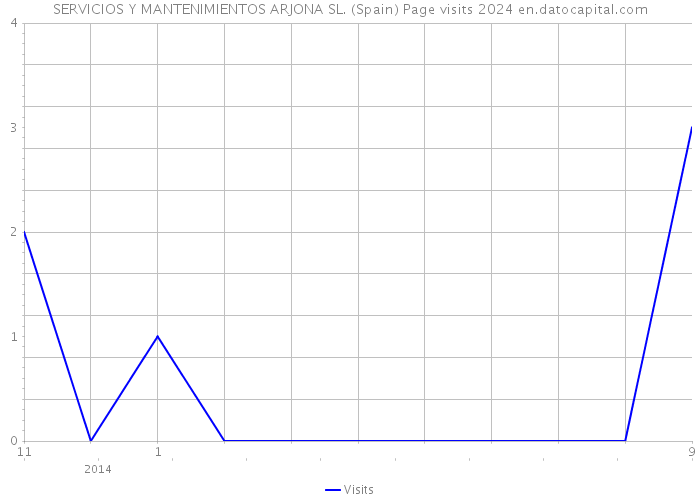 SERVICIOS Y MANTENIMIENTOS ARJONA SL. (Spain) Page visits 2024 