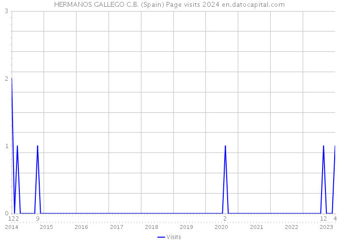 HERMANOS GALLEGO C.B. (Spain) Page visits 2024 