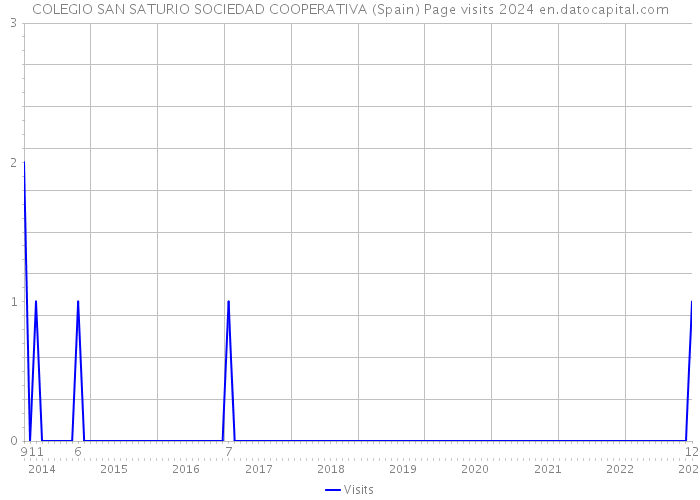 COLEGIO SAN SATURIO SOCIEDAD COOPERATIVA (Spain) Page visits 2024 