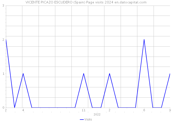 VICENTE PICAZO ESCUDERO (Spain) Page visits 2024 