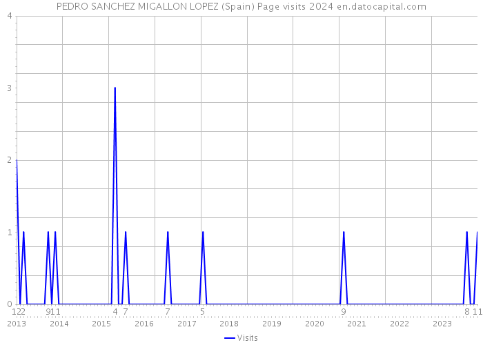 PEDRO SANCHEZ MIGALLON LOPEZ (Spain) Page visits 2024 
