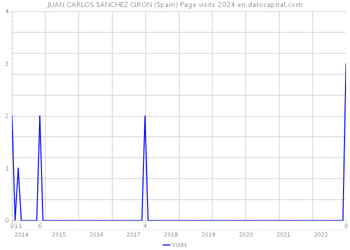 JUAN CARLOS SANCHEZ GIRON (Spain) Page visits 2024 