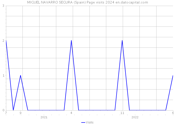 MIGUEL NAVARRO SEGURA (Spain) Page visits 2024 