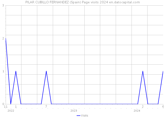 PILAR CUBILLO FERNANDEZ (Spain) Page visits 2024 