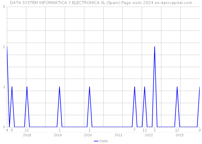 DATA SYSTEM INFORMATICA Y ELECTRONICA SL (Spain) Page visits 2024 