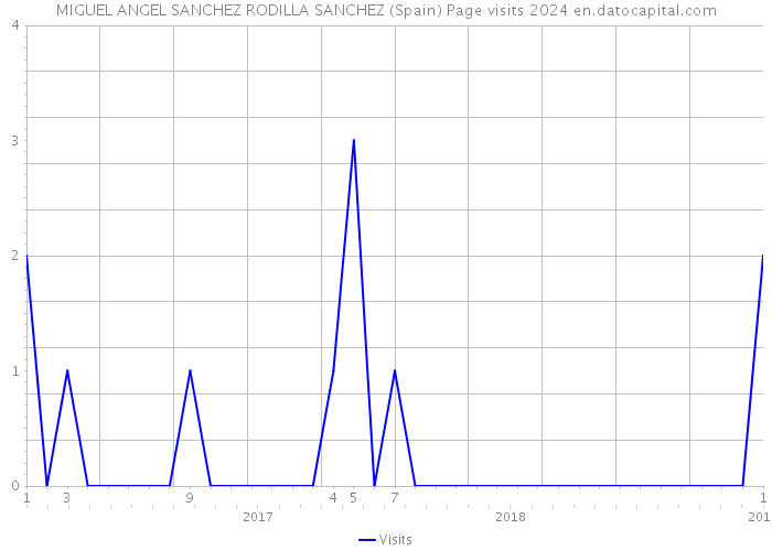 MIGUEL ANGEL SANCHEZ RODILLA SANCHEZ (Spain) Page visits 2024 