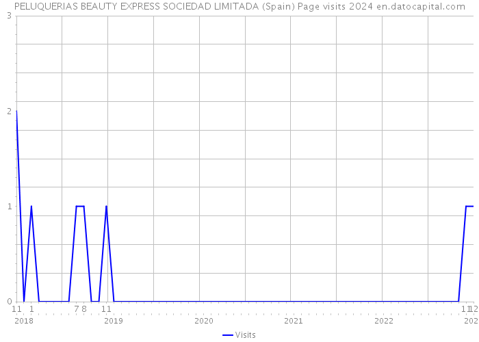 PELUQUERIAS BEAUTY EXPRESS SOCIEDAD LIMITADA (Spain) Page visits 2024 