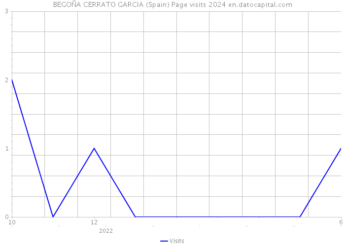 BEGOÑA CERRATO GARCIA (Spain) Page visits 2024 