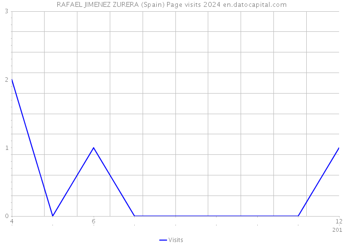 RAFAEL JIMENEZ ZURERA (Spain) Page visits 2024 