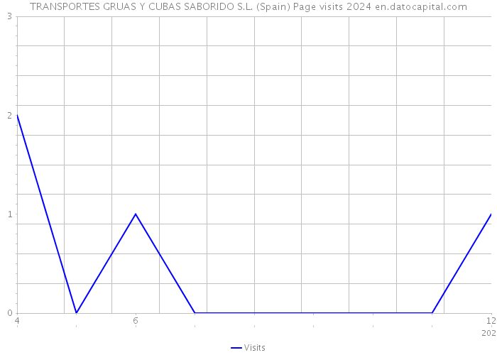 TRANSPORTES GRUAS Y CUBAS SABORIDO S.L. (Spain) Page visits 2024 