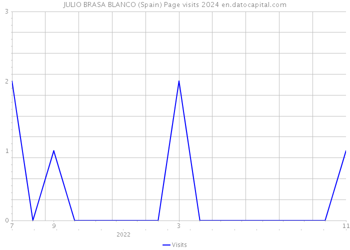 JULIO BRASA BLANCO (Spain) Page visits 2024 