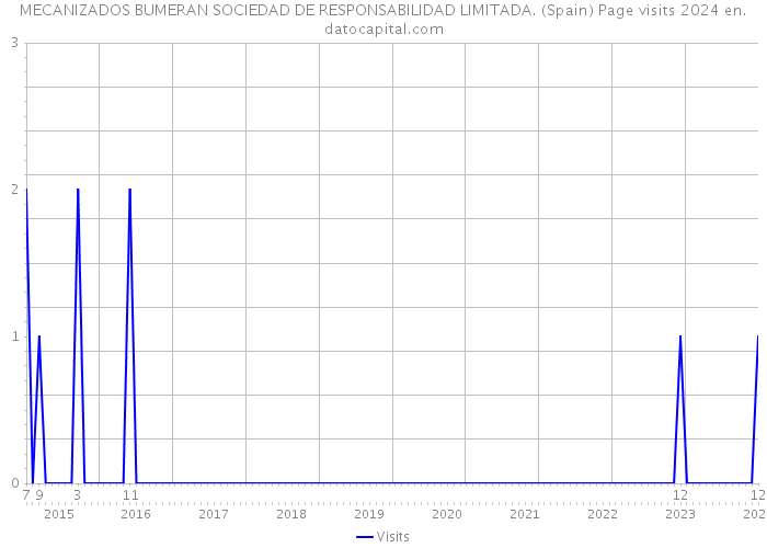 MECANIZADOS BUMERAN SOCIEDAD DE RESPONSABILIDAD LIMITADA. (Spain) Page visits 2024 