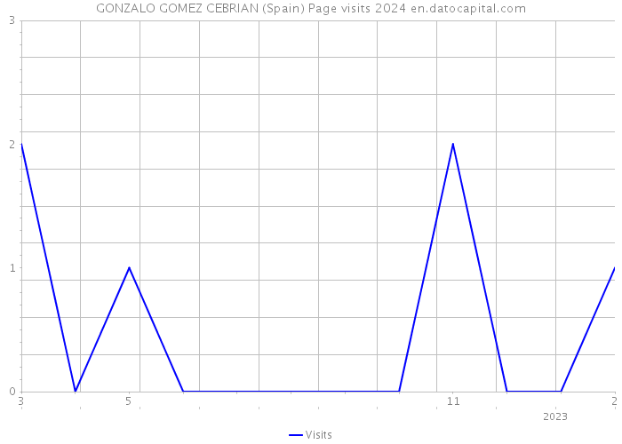 GONZALO GOMEZ CEBRIAN (Spain) Page visits 2024 