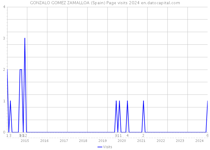 GONZALO GOMEZ ZAMALLOA (Spain) Page visits 2024 