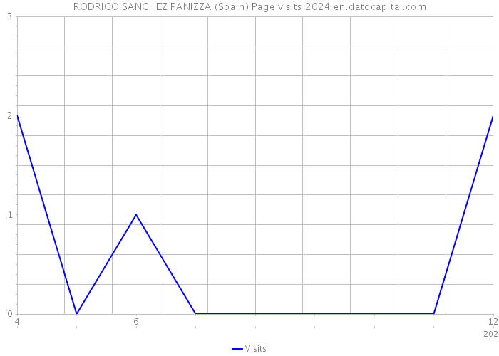 RODRIGO SANCHEZ PANIZZA (Spain) Page visits 2024 