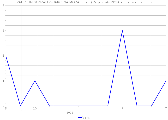 VALENTIN GONZALEZ-BARCENA MORA (Spain) Page visits 2024 