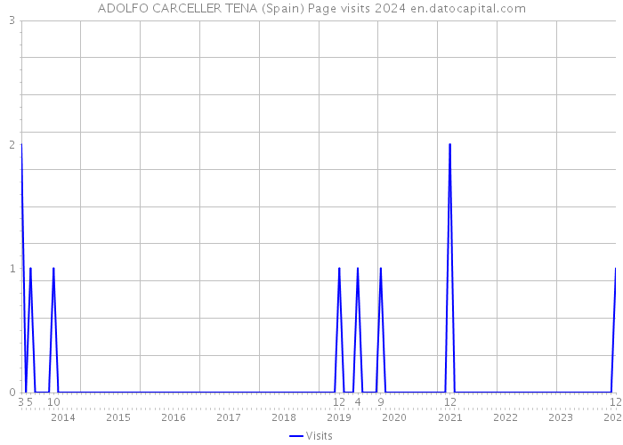 ADOLFO CARCELLER TENA (Spain) Page visits 2024 