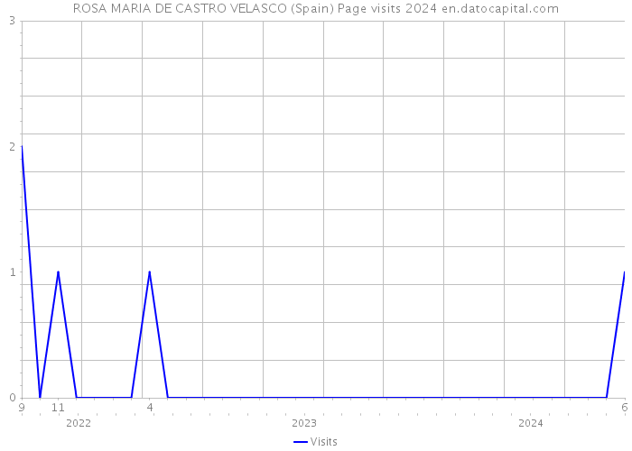 ROSA MARIA DE CASTRO VELASCO (Spain) Page visits 2024 