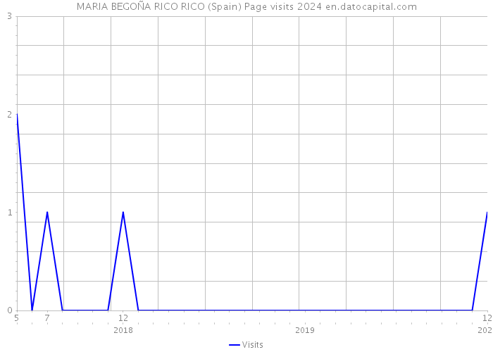 MARIA BEGOÑA RICO RICO (Spain) Page visits 2024 