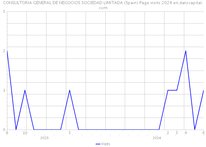 CONSULTORIA GENERAL DE NEGOCIOS SOCIEDAD LIMITADA (Spain) Page visits 2024 
