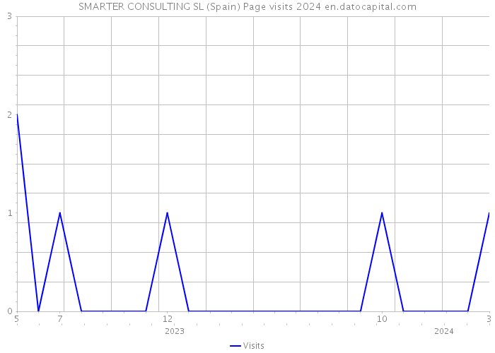 SMARTER CONSULTING SL (Spain) Page visits 2024 