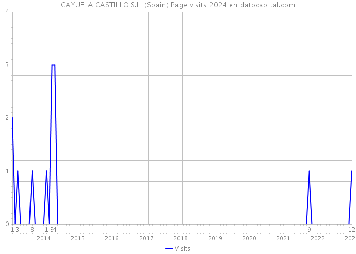 CAYUELA CASTILLO S.L. (Spain) Page visits 2024 