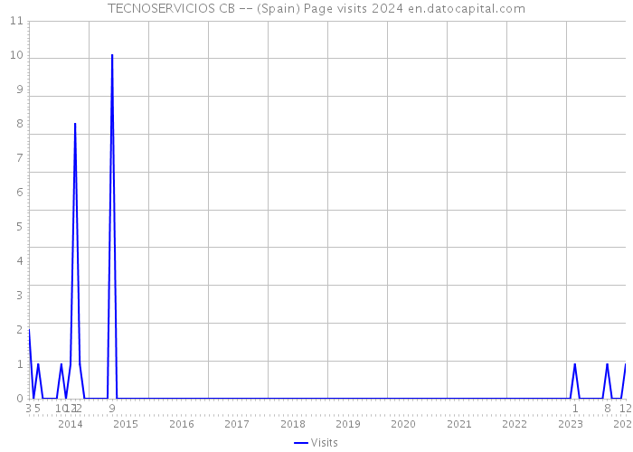 TECNOSERVICIOS CB -- (Spain) Page visits 2024 