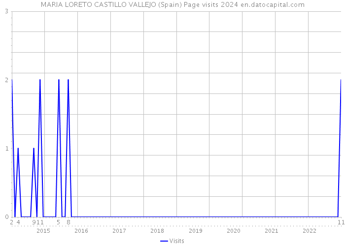 MARIA LORETO CASTILLO VALLEJO (Spain) Page visits 2024 