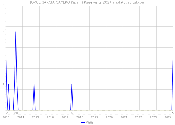 JORGE GARCIA CAYERO (Spain) Page visits 2024 