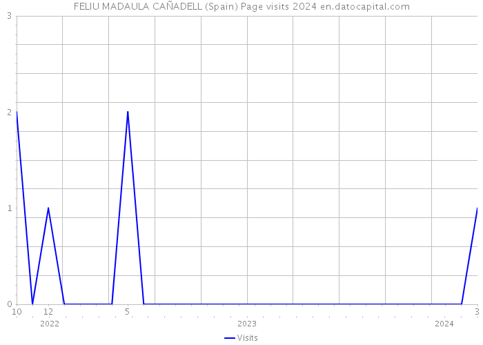 FELIU MADAULA CAÑADELL (Spain) Page visits 2024 
